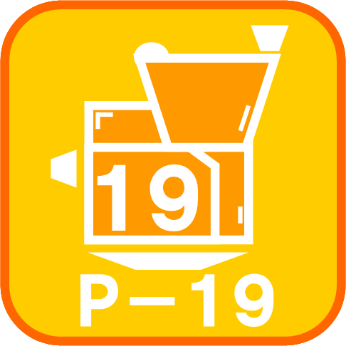 P-19